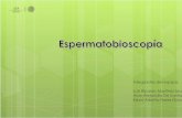 Espermatobioscopia (2)