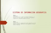 SISTEMA DE INFORMACION GEOGRAFICA.pptx