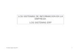 Los Sistemas de Informacion en La Empresa - ERP - Carlos Suarez Rey - 23-03-2012