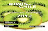 Especial Kiwi Portalfrutícola