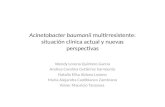 Acinetobacter Baumanii Multirresistente (EXPO) (1)