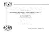 Tesis Simulacion Numerica UBA.pdf