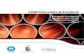CSIRO Chile Centro de Excelencia