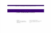 METODOLOGIA y ESTANDARES DE DESARROLLO SAP.doc.docx