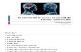 El Cervell de La Dona i El Cervell de l'Home: Diferències