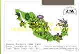 La Herbolaria en México (Exposición 1)