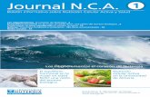 NUTERGIA - Newsletter NCA Nº1 - Junio 2013