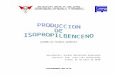 Diseño de Una Planta Para La Produccion de Isopropilbenceno1
