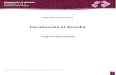 Programa_desarrollado INTRODUCCION AL DERECHO.pdf