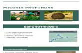 Esporotricosis presentacion