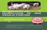 Implementacion y Produccion de Una Granja Porcina