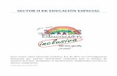 Inclusión Educativa. Sector II de Educación Especial. 2014