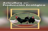 Manual Avicultura Ecológica