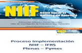 Proceso Implementacion NIIF Diapositivas