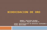 Biooxidacion de Oro - Christian Escobar