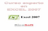Cursos Experto en Excel 2007.pdf