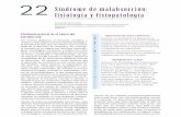 22 Sindrome de Malabsorcion Fisiologia y Fisiopatologia