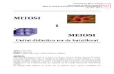 Unitat didàctica Batxillerat. Mitosi i meiosi (4).doc