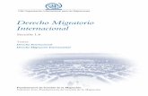 Derecho migratorio internacional.pdf