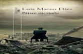 Pajaro Sin Vuelo - Luis Mateo Diez