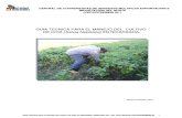 Manual de Poduccion de Chia Salvia Hispanica