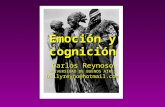 07 Emocion y Cognicion