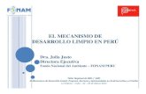 El mecanismo de desarrollo limpio en el Perú