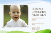Leucemia Linfoblastica Aguda (LLA) Parte Adrian