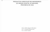 Productos Forestales No Maderables Origen Vegetal Macara Provincia Loja