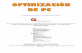 Guía de Optimización.pdf