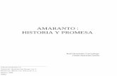 AMARANTO :  HISTORIA Y PROMESA