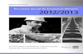 Mining Survey 2012 2013 Spanish