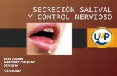 Secrcecion Salival y Control Nervioso