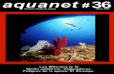 Aquanet 36
