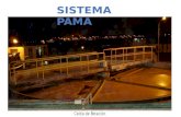 Presentación pama - 1.pptx