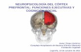 Fe y Cognicion Social