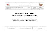 MANUAL DE ORGANIZACIÓN DGSP2011 I