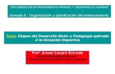 Etapas-Desarrollo Motor y Pedagogia Aplicada a La Iniciacion Deportiva (1)