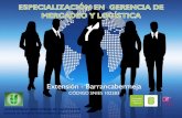 Especialización en Gerencia de Mercadeo y Logística, Sede UIS Barrancabermeja