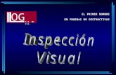 Inspección Visual  Cap I-II-III-IV