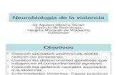 Neurobiologia de La Violencia 1