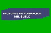 FORMACION DEL SUELO.pdf