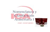 Nomenclatura y Clasificación Arancelaria ICA