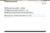 120793783 Manual de Mantenimiento Equipos Caterpillar c15