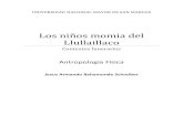 Monografia Llullaillaco