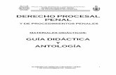 Derecho Procesal Penal Mexicano Antologia Practica
