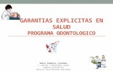 Garantias Explicitas en Salud-programa Odontologico