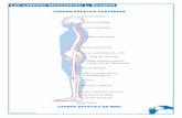 Las Cadenas Musculares - L. Busquet - Láminas