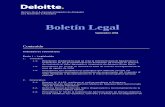 Boletin Legal Septiembre 2004 Draw Back