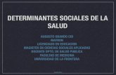 Clase Determinantes Sociales de La Salud Gis II